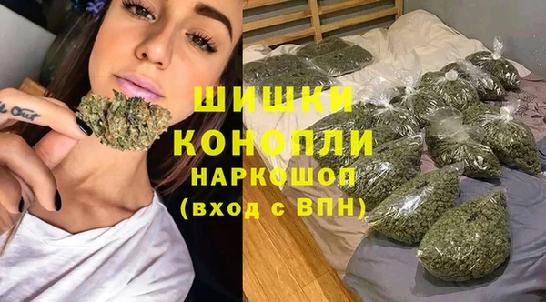 прущие грибы Воткинск