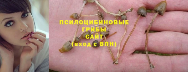 твердый Няндома