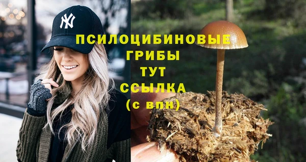 дистиллят марихуана Нязепетровск
