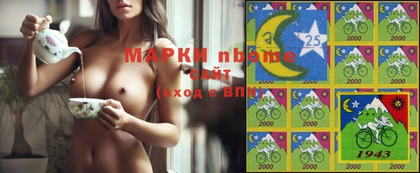 твердый Няндома