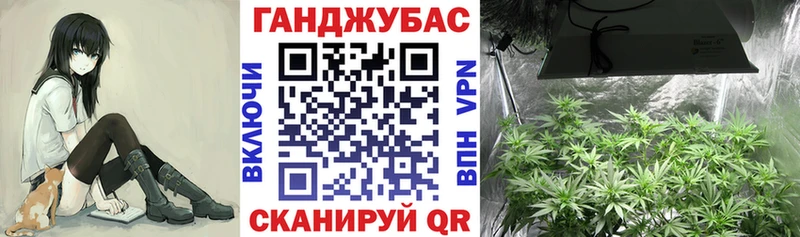 как найти наркотики  Катайск  ссылка на мегу как войти  МАРИХУАНА план 